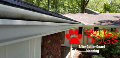 gutter guard cleaning maryland 2