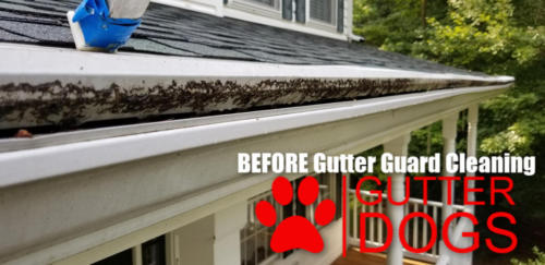 Gutter guard cleaning Maryland