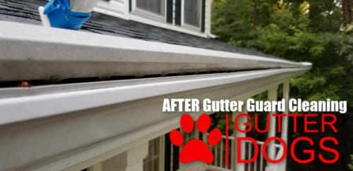 Gutter guard cleaning Maryland