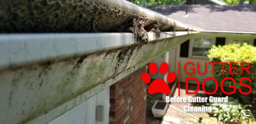 gutter guard cleaning maryland