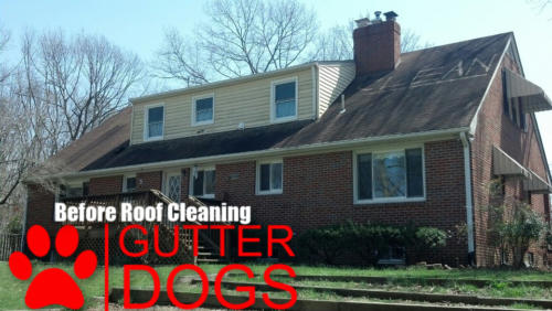 Roof Cleaning Maryland