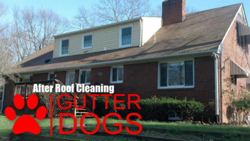 Roof Cleaning Maryland