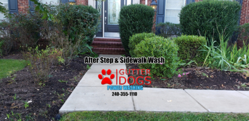 Step & Sidewalk Cleaning