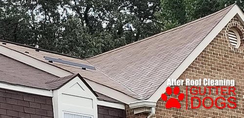 Roof Cleaning Maryland