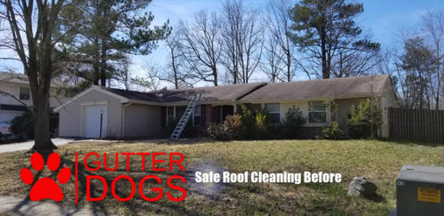 roof cleaning service maryland