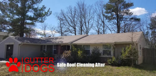 roof cleaning service maryland