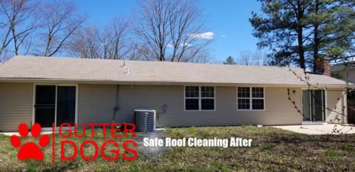 roof cleaning service maryland