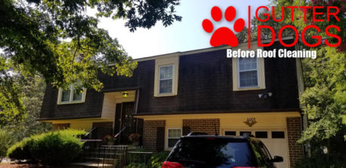 roof cleaning waldorf maryland