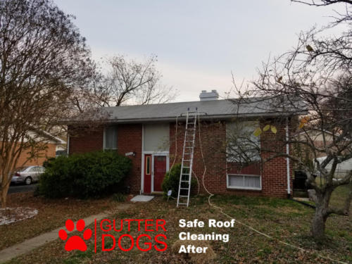 safe roof cleaning maryland