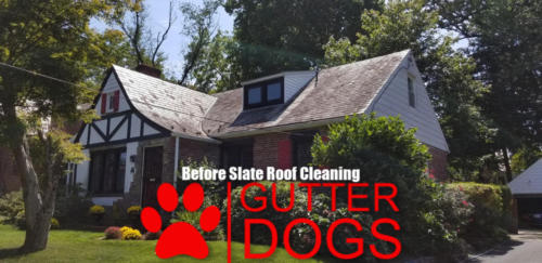 Safe Slate Roof Cleaning in Silver Spring Maryland