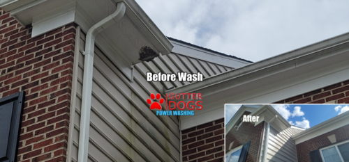 soft power washing Upper Marlboro Maryland(5)