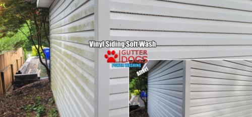 vinyl siding cleaning Bowie Maryland